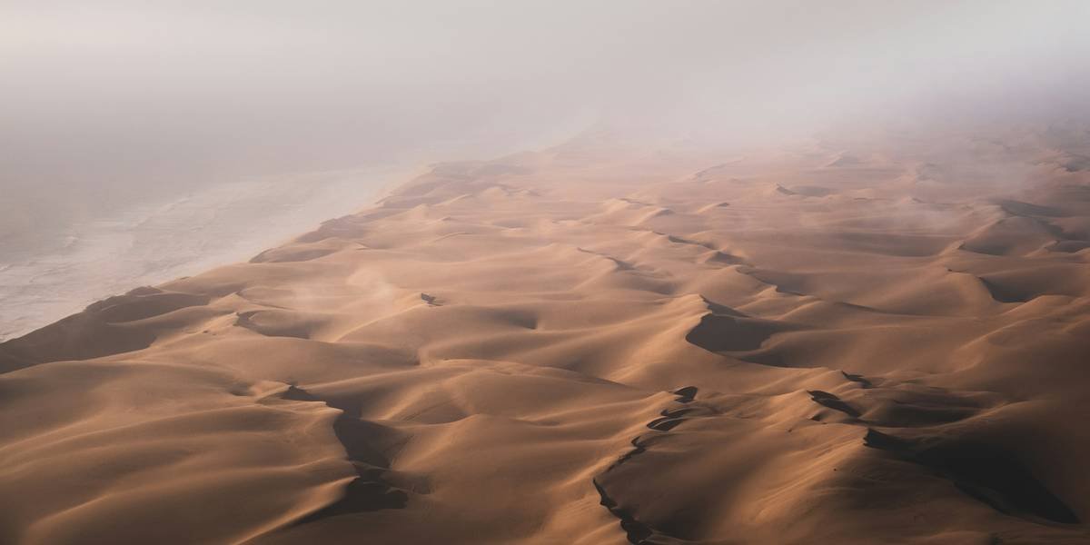 a misty desert