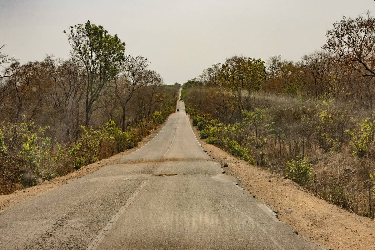 an empty road in the middle of a wooded area