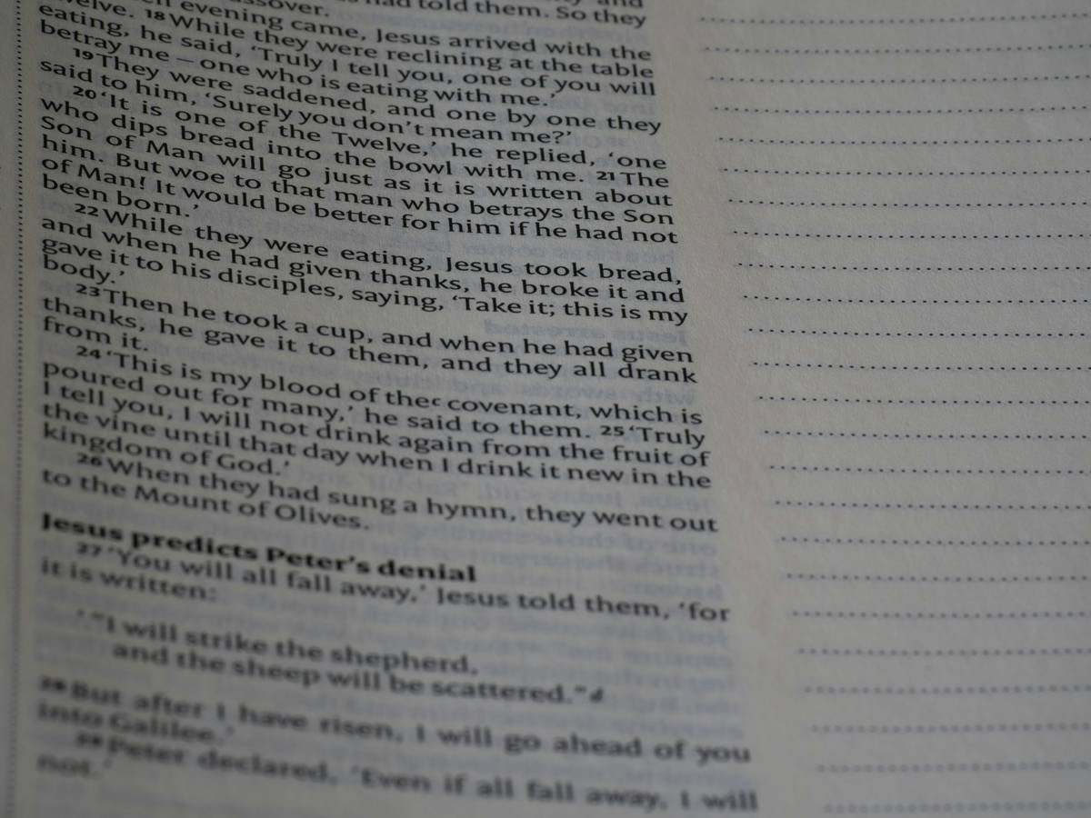 close up, bokeh, bible, new testament, christian, history, text, reading, bible study, devotions, christianity, scripture, Gospel of Mark, Mark, Synoptic Gospel, Gospel,