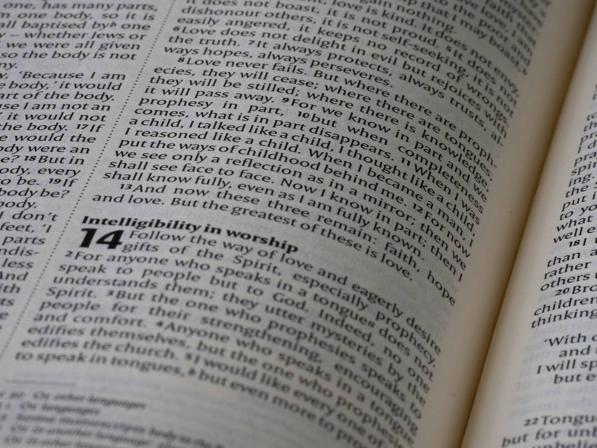 close up, bokeh, bible, new testament, christian, history, text, reading, bible study, devotions, christianity, scripture, epistle, letter, corinthians, 1 corinthians, sosthenes, spiritual gifts, love, morality, immorality, grace,