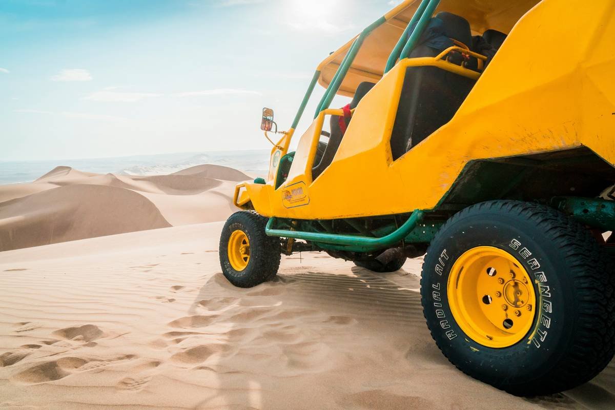 Having fun in a desert
